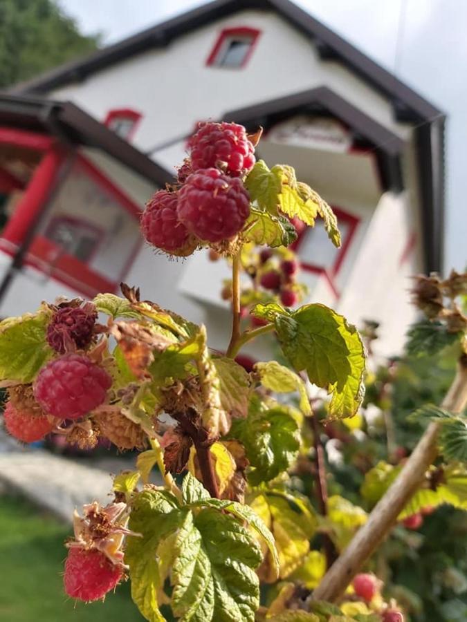 Villa Jelena Mavrovo Exterior foto